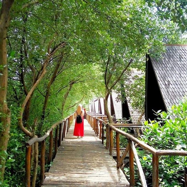 Taman Wisata Alam "Mangrove"